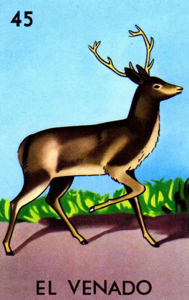 El Venado